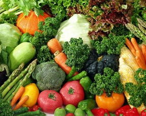 加盟硯祥有機蔬菜 把握綠色健康商機