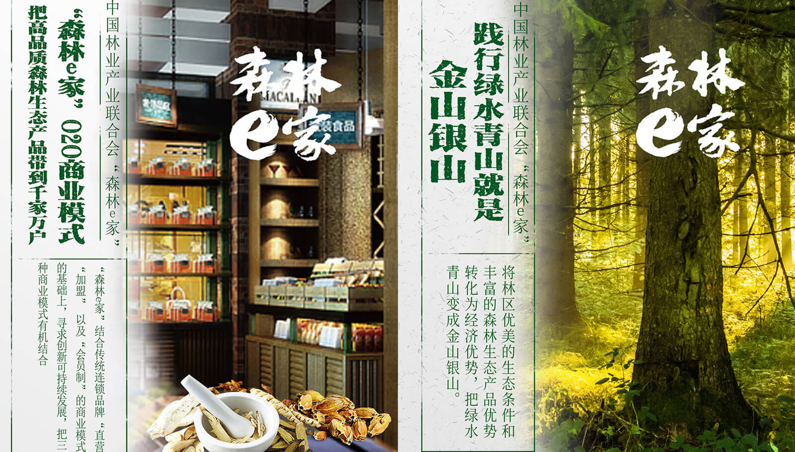 1562741921560345.jpg 品牌策劃全案設(shè)計