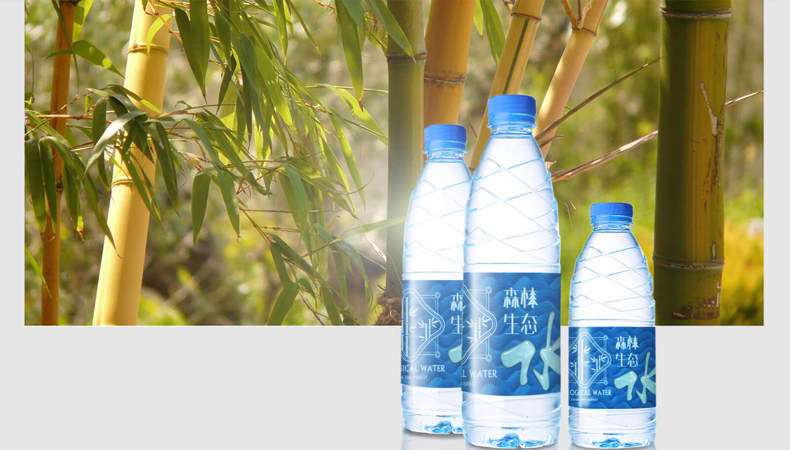 1562741921608393.jpg 品牌策劃全案設(shè)計