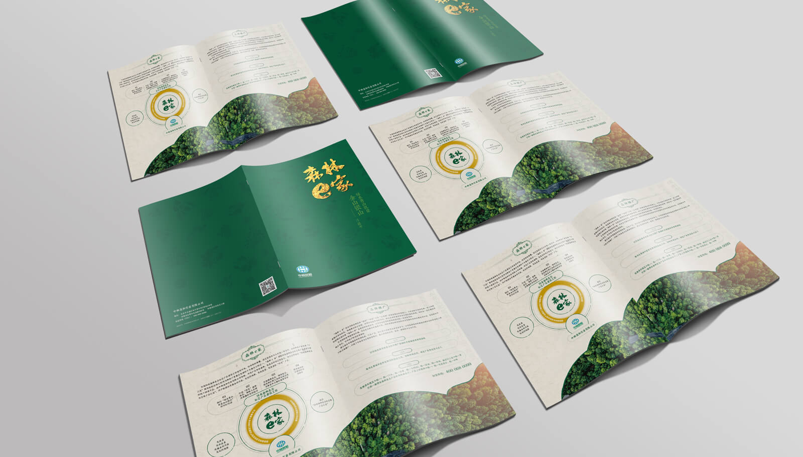 1562741921710955.jpg 品牌策劃全案設(shè)計